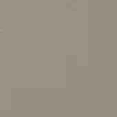 Champagne metal texture with matte finish, grainy surface, and tonal variations; neutral color palette for design applications.